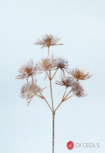 [277723] FLOCKED PINIE SPRAY 62 CM. BROWN