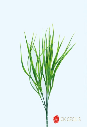 [4130067] PASTO BUSH X 7 45 CM. GREEN