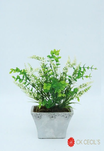 [4130077] ANT. TRAP.CHATO C/ LAVAN 27X27 WHITE CREAM