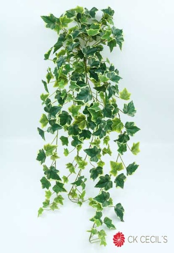 [4130247] IVY HANGING BUSH 191LVS 86CM VARIEGATED