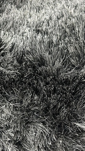 [380916] FUNDA DE ALMOHADON 40 X 40 PELO LARGO NEGRO Y BLANCO