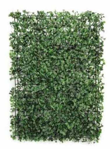 [413203] MAT BOXWOOD 40 X 60 CM. GREEN ( JARDIN VERTICAL)