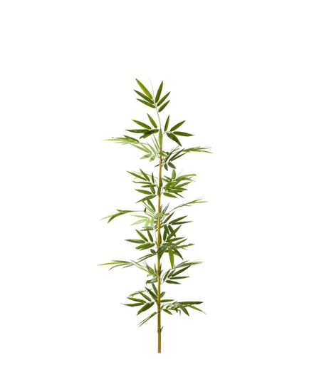 [413277] CAÑA DE BAMBOO X 1.8 MTS