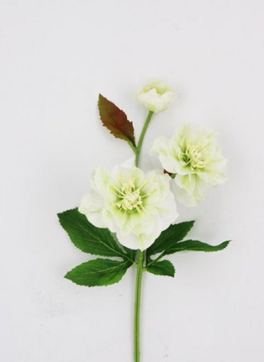 [413447] HELLEBORUS SPRAY 41CM WHITE GREEN