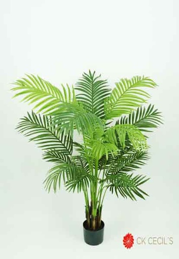 [41373] ARECA PALM NAT. 1.35MT GREEN