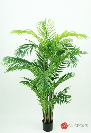 [413508] STYLE HAWAIAN PALM X21X1.50MT T.T. GREEN