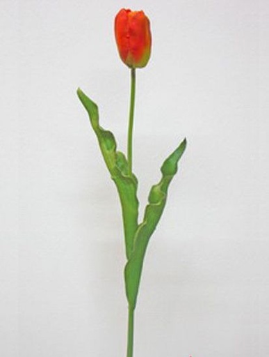 [413601] TULIP STEM 57 CM. ORANGE