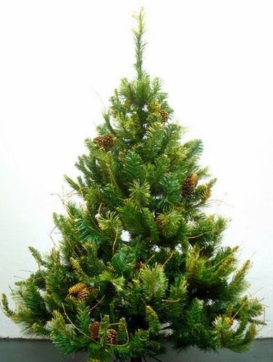 [277068] ARBOL 180 CM APLACIAN MIX GOLD 6 PIE 1250TI GOLD MIXED