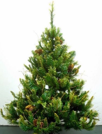 [277081] ARBOL 120 CM APLACIAN MIX GOLD 4PIE 381 TIPS GOLD MIXED