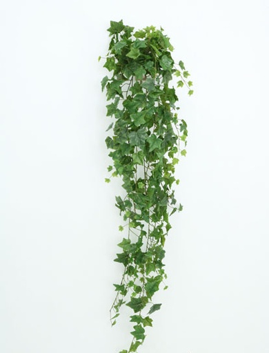 [413769] IVY HANGING BUSH X370LV 1.80MT GREEN