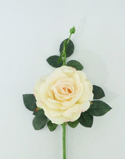 [413790] QUIANNIE ROSE 36CM CREAM/PEACH