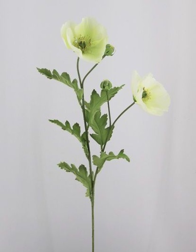 [413810] POPPY X 2 + 2 BUDS WHITE