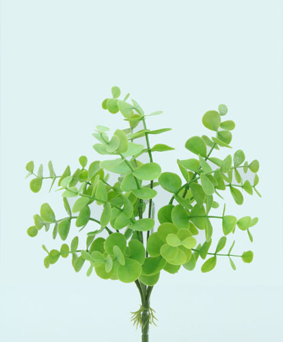 [413885] EUCALYPTUS  BUSH X 6 X 38 CM. GREEN