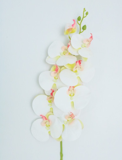 [413978] ORCHID SPRAY X 9 100 CM. WHITE