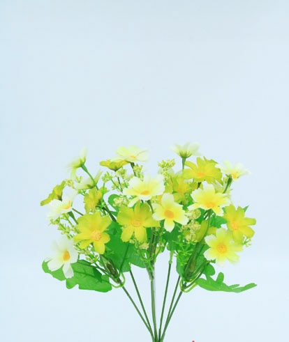 [413050] COSMOS MINI X 5 X 27CM YELLOW