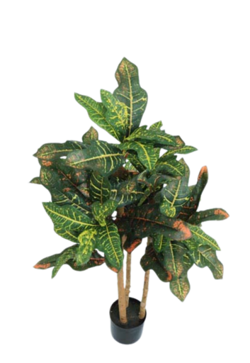 [413967] CROTON TREE X 90 LVS X 91 CM