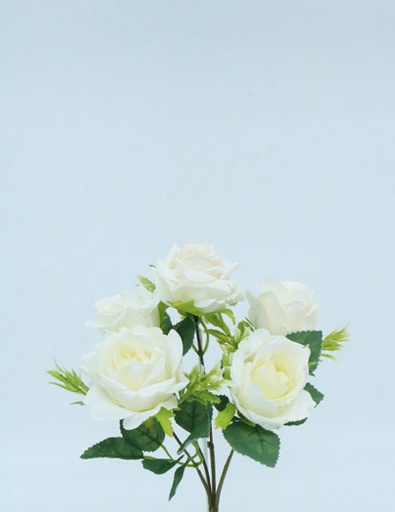 [413576] ROSE BUSH X 5FL X 30CM CREAM