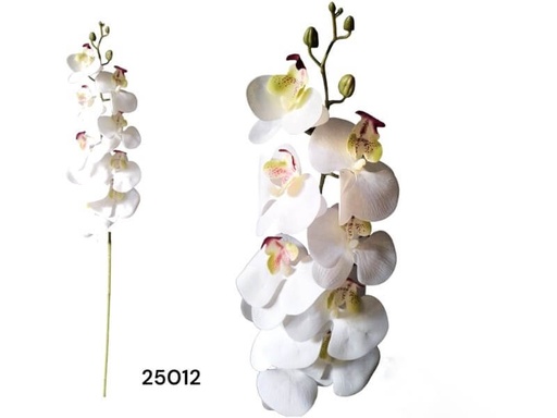 [180752] VARA DE ORQUIDEA 100 CM