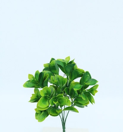 [4130137] ANUBIAS BUSH X 5 X28 CM. GREEN