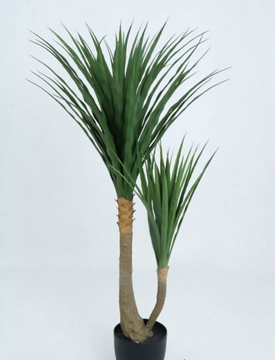 [4130165] YUCCA PLANT 1.20 MTS. X 88 LVS / T.T. GREEN