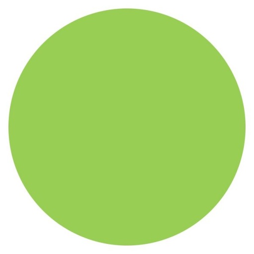 [146058] INDIVIDUAL PVC REDONDO 40 CM VERDE MANZANA