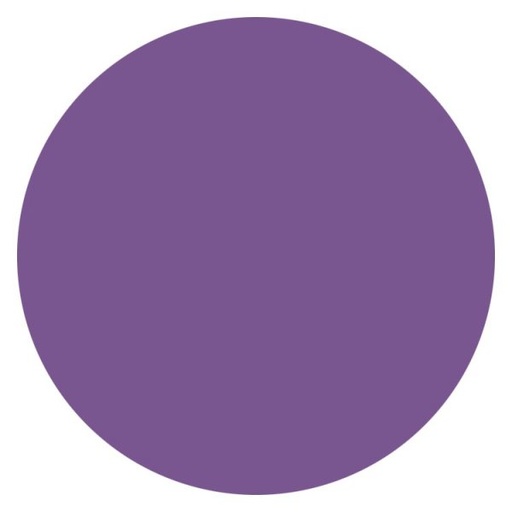 [146099] INDIVIDUAL PVC REDONDO 40 CM VIOLETA