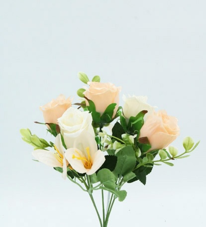 [413078] ROSE BUSH X 5 30 CM SALMON
