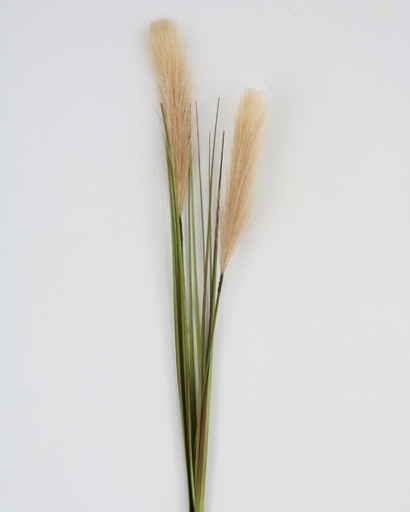 [413115] REED GRASS SPRAY 78 CM BEIGE