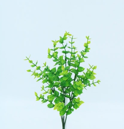 [413129] PILEA BUSH X 5 X 33CM. GREEN